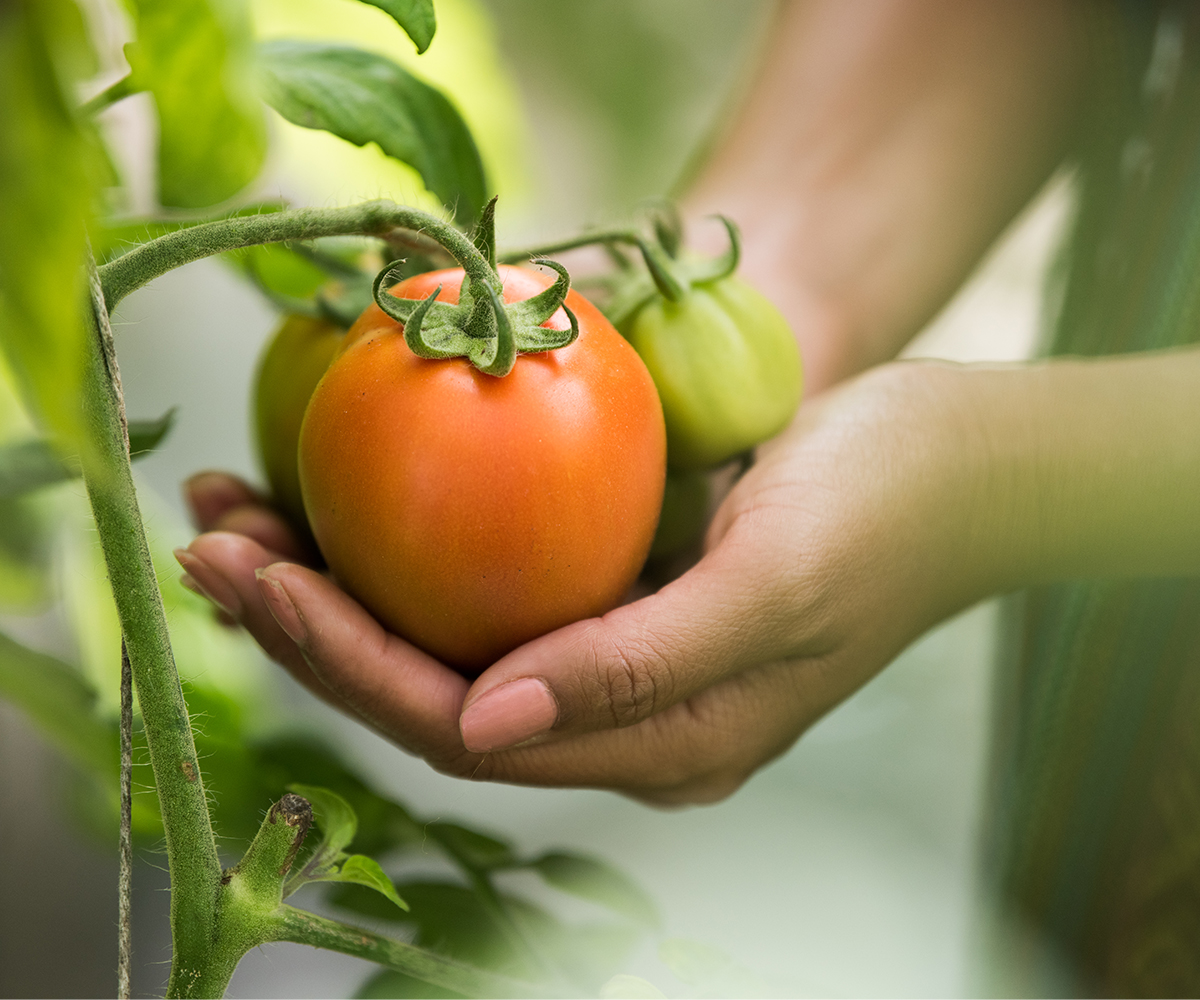 uitzendbureau-food-sector